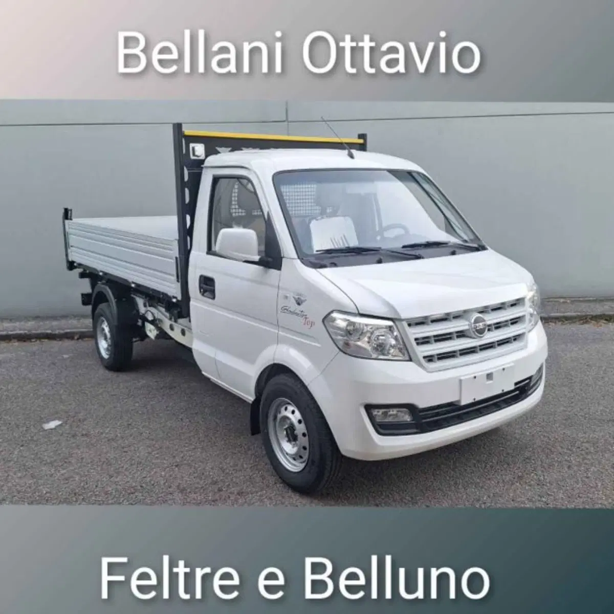 Giotti Victoria Gladiator nuova a Belluno