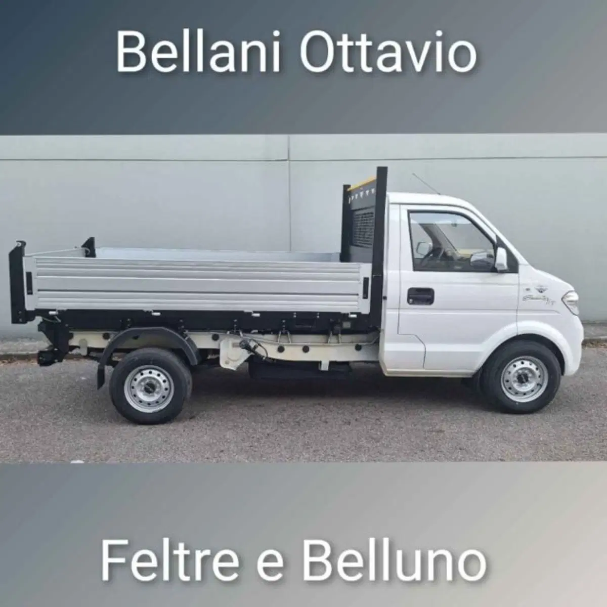 Giotti Victoria Gladiator nuova a Belluno (3)