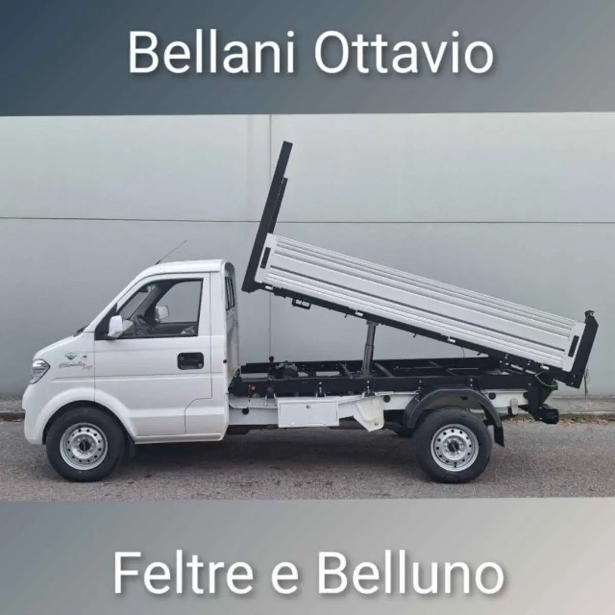 Giotti Victoria Gladiator nuova a Belluno (4)