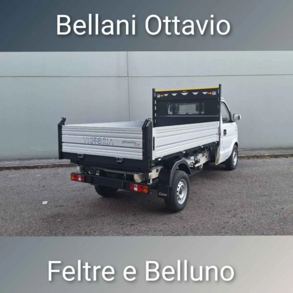 Giotti Victoria Gladiator nuova a Belluno (6)
