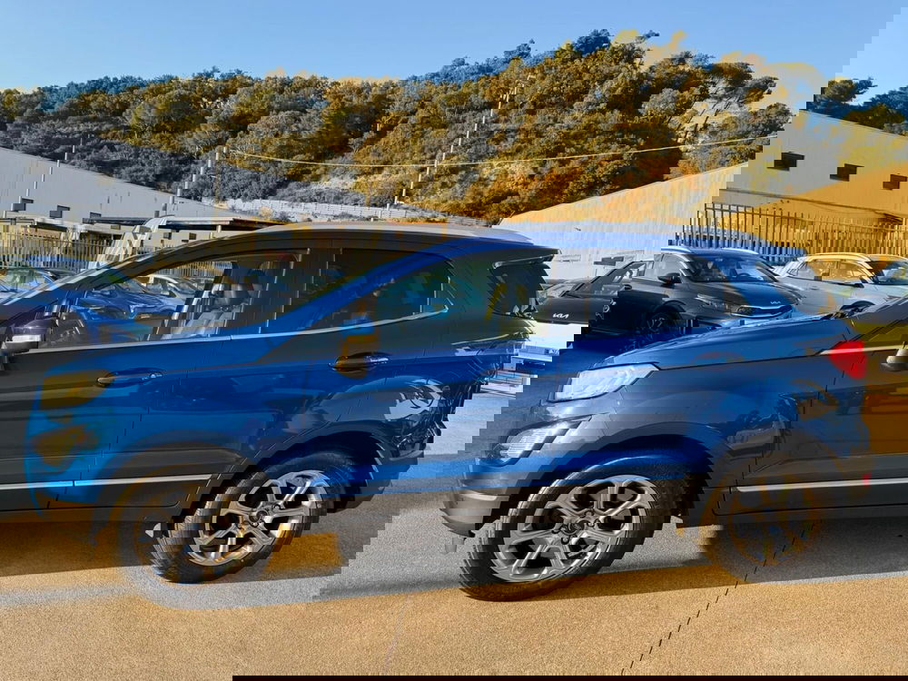 Ford EcoSport usata a Cosenza (10)