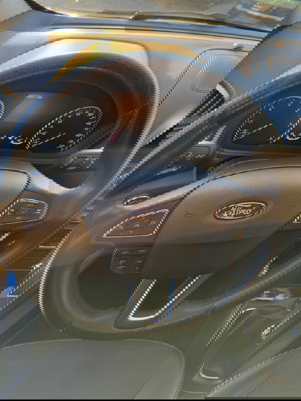 Ford EcoSport usata a Cosenza (12)