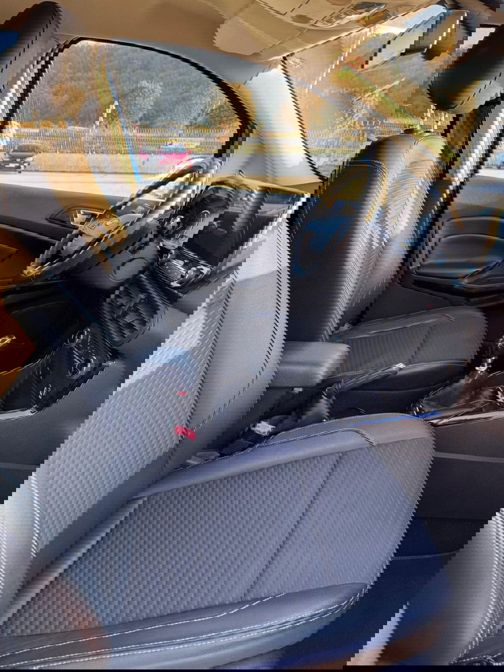 Ford EcoSport usata a Cosenza (14)