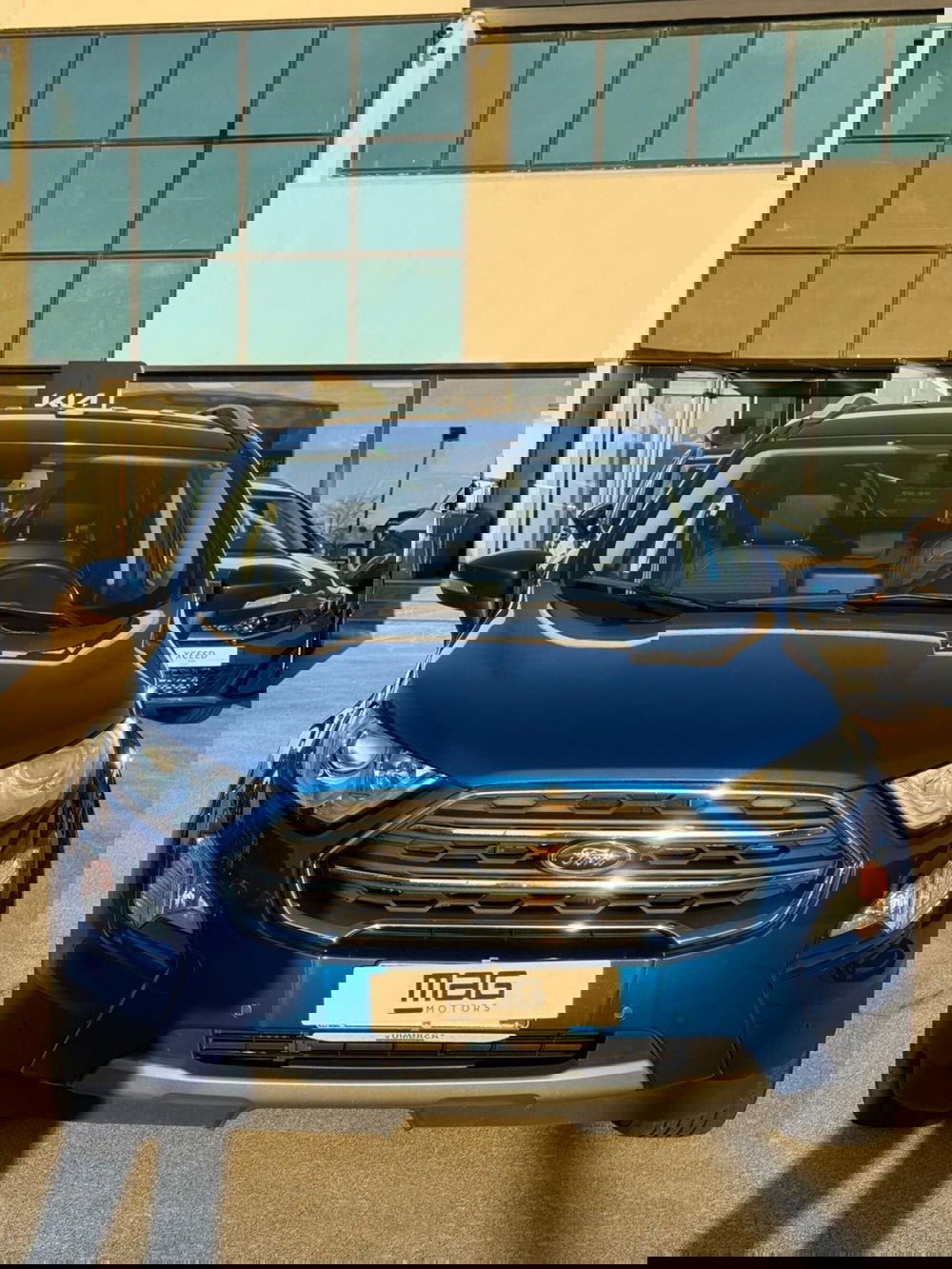 Ford EcoSport usata a Cosenza (2)