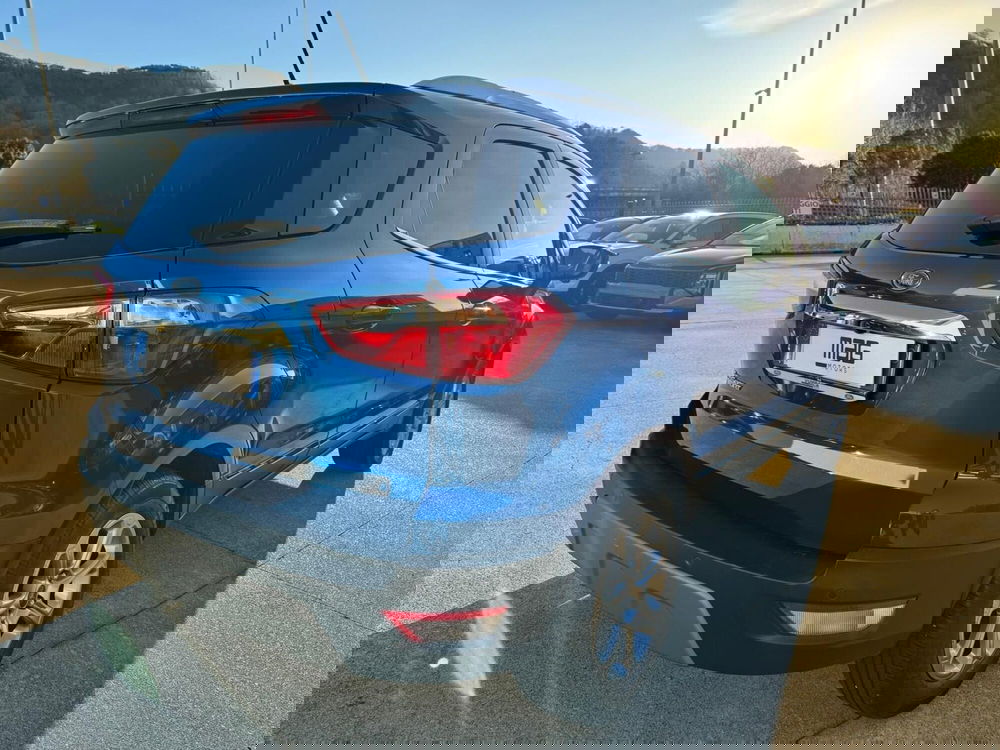 Ford EcoSport usata a Cosenza (5)