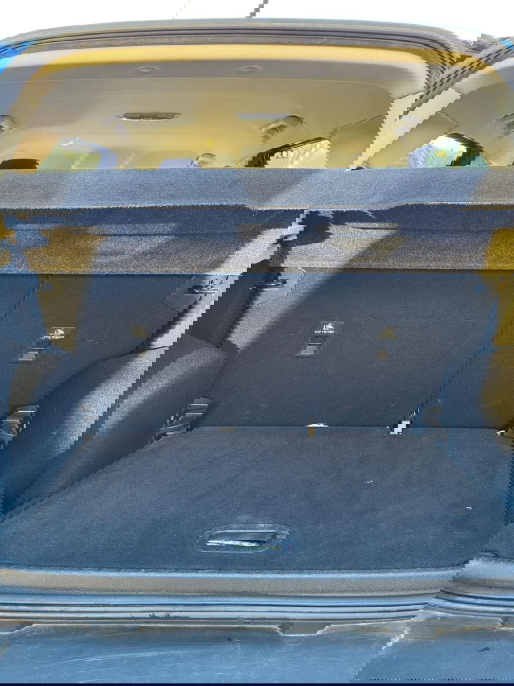 Ford EcoSport usata a Cosenza (7)