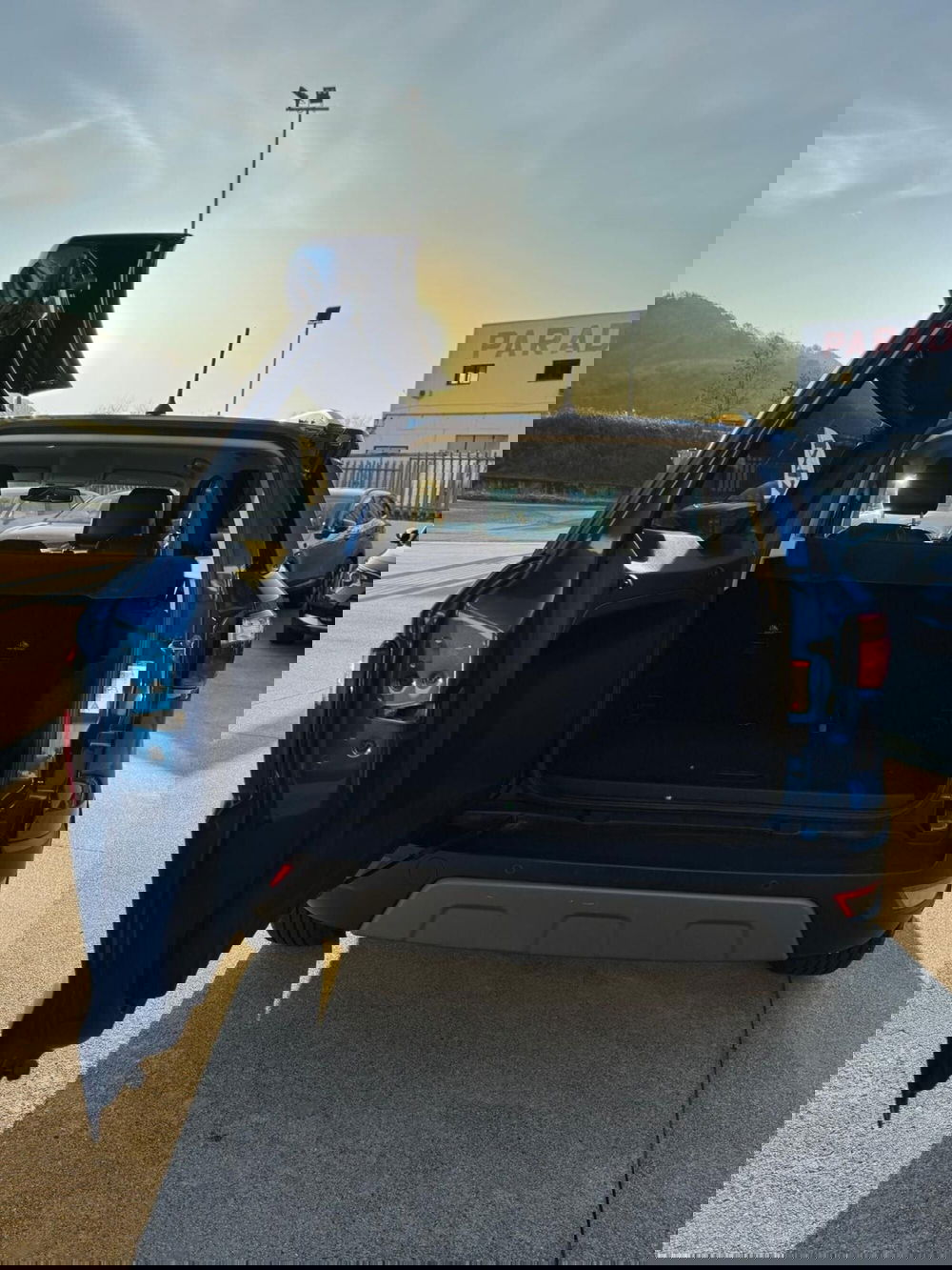 Ford EcoSport usata a Cosenza (8)