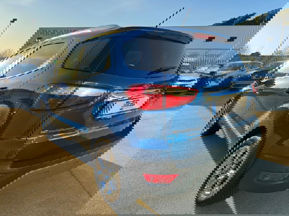 Ford EcoSport usata a Cosenza (9)