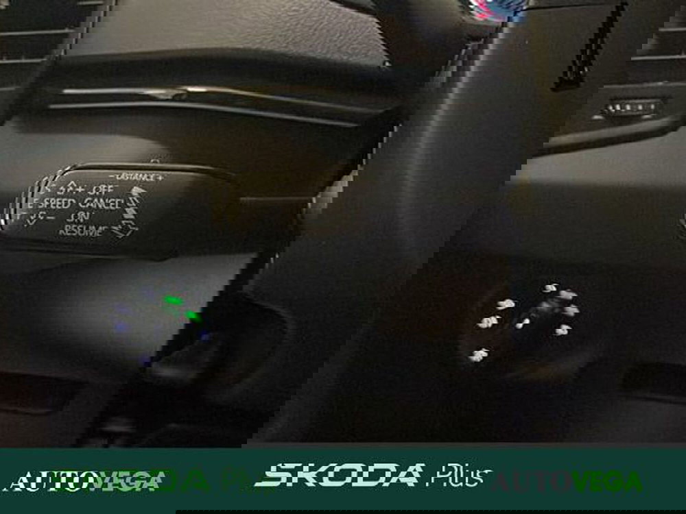 Skoda Karoq usata a Vicenza (16)