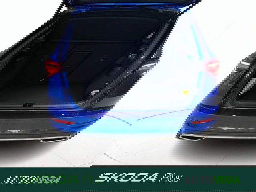 Skoda Karoq usata a Vicenza (20)