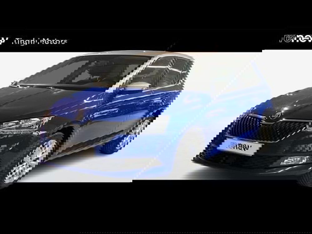 Skoda Fabia usata a Firenze