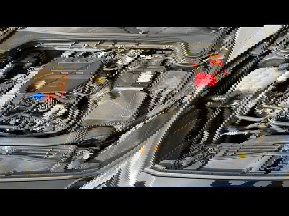 Ford Focus usata a Firenze (14)