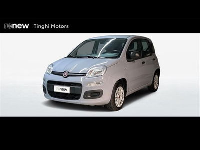 Fiat Panda 1.2 Pop del 2018 usata a Empoli