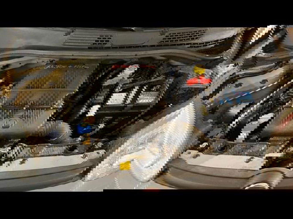 Fiat Panda usata a Firenze (14)