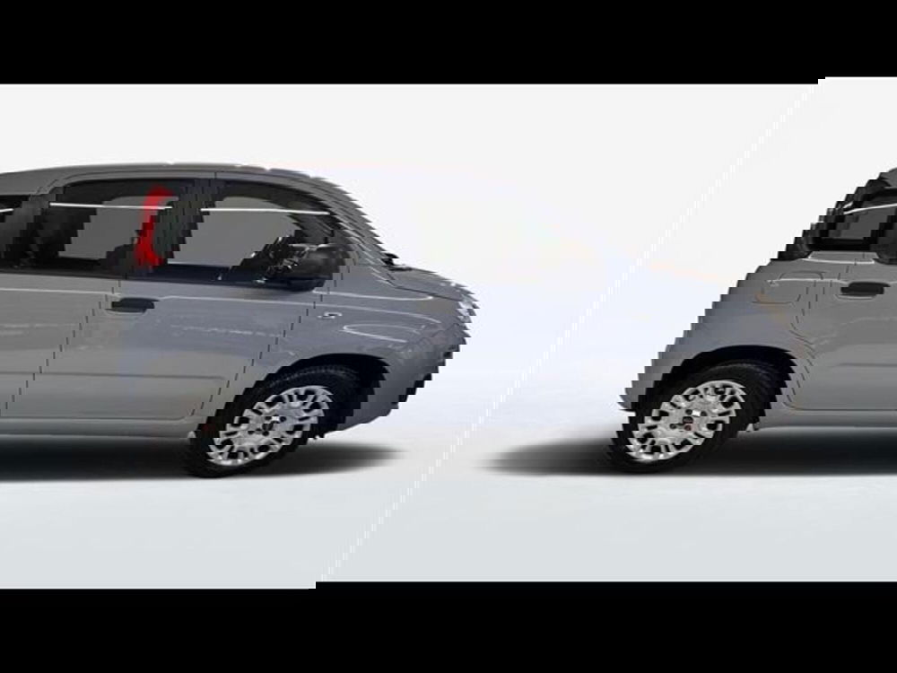 Fiat Panda usata a Firenze (4)