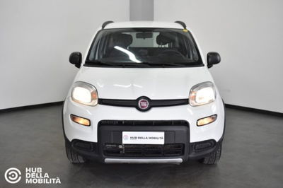 Fiat Panda 0.9 TwinAir Turbo S&amp;S 4x4 del 2019 usata a Foligno