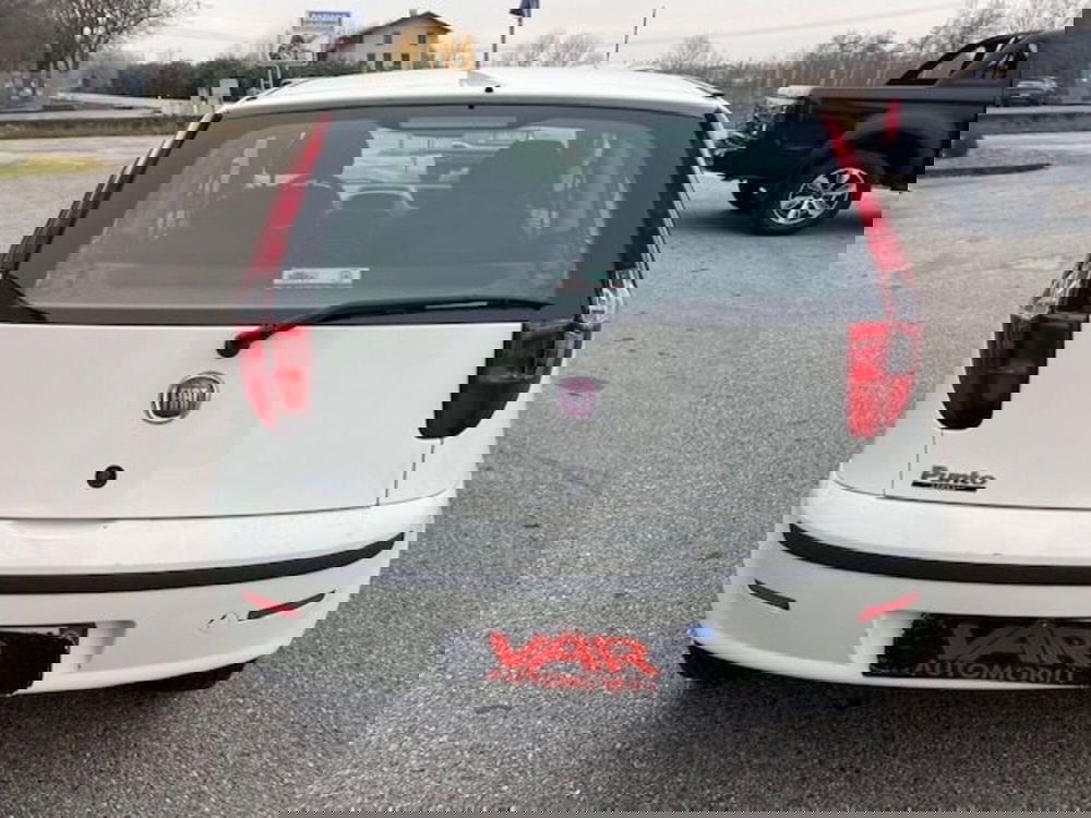 Fiat Punto Classic usata a Cuneo (5)