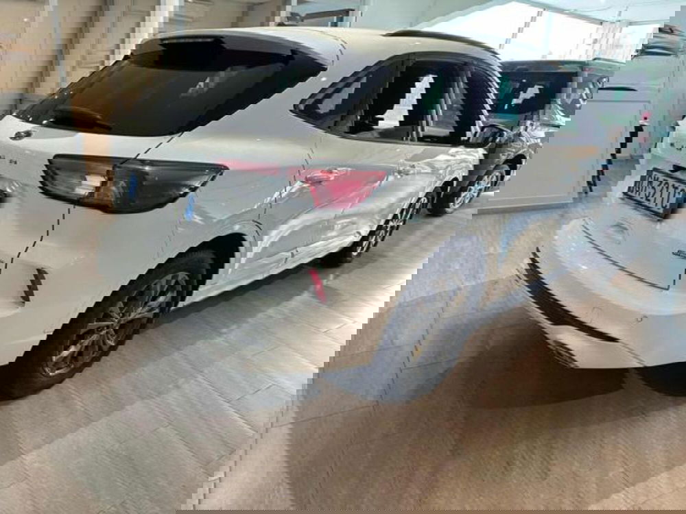 Ford Kuga usata a Lucca (4)