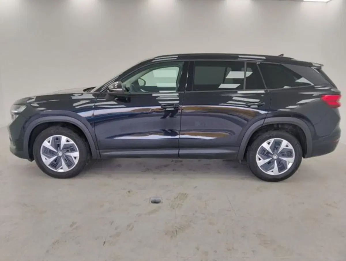 Skoda Kodiaq usata a Como (7)