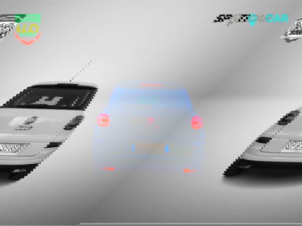 Fiat 500L usata a Frosinone (5)