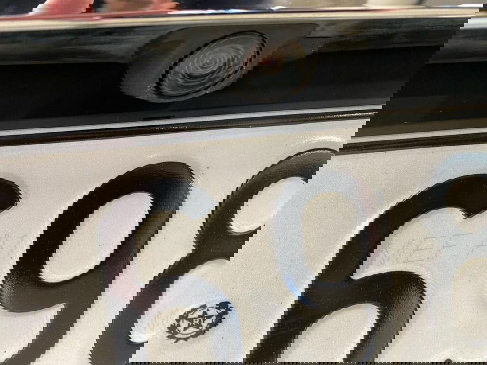 Ford EcoSport usata a Torino (13)