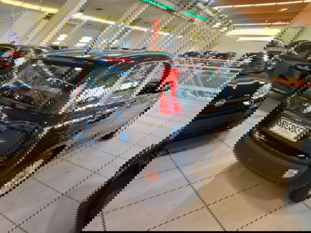 Fiat Panda usata a Vicenza (4)