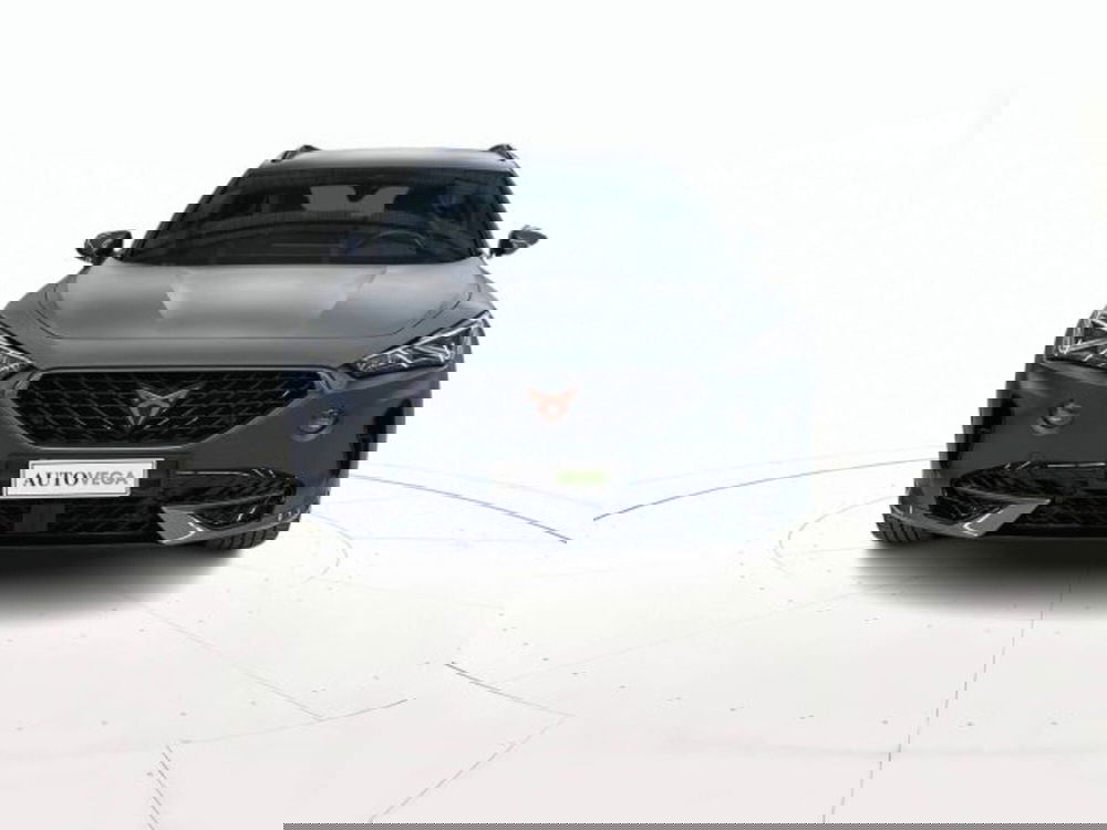 Cupra Formentor usata a Vicenza (2)