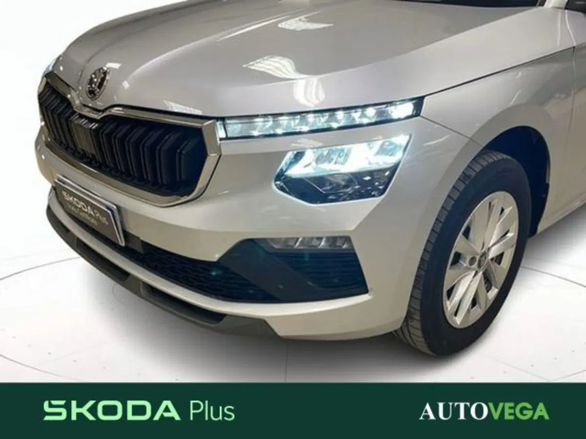 Skoda Kamiq usata a Vicenza (20)