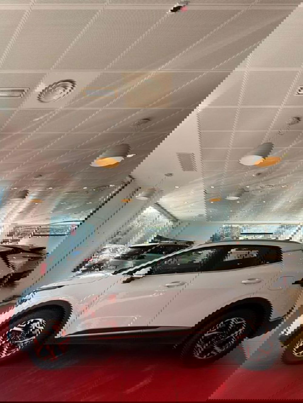 Kia Sportage usata a Sassari (2)