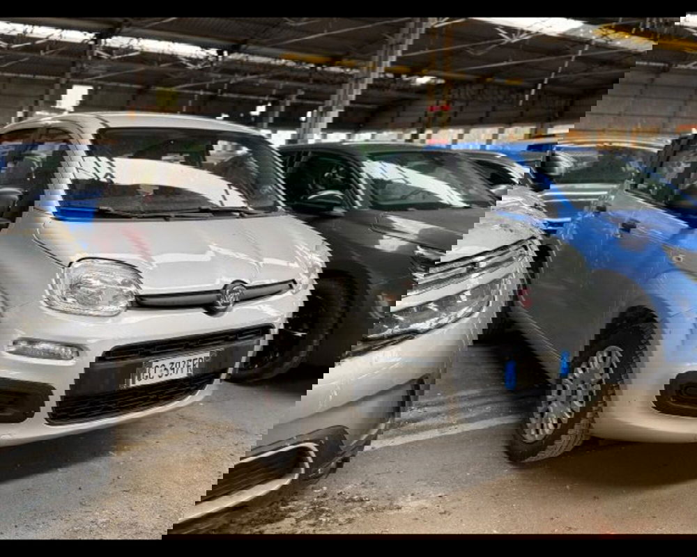 Fiat Panda usata a Bologna (3)