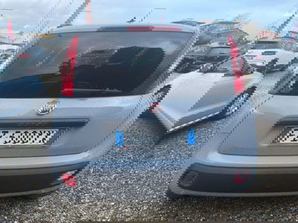 Fiat Panda usata a Prato (6)