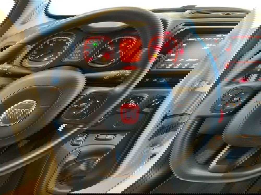 Fiat Panda Cross usata a Como (16)