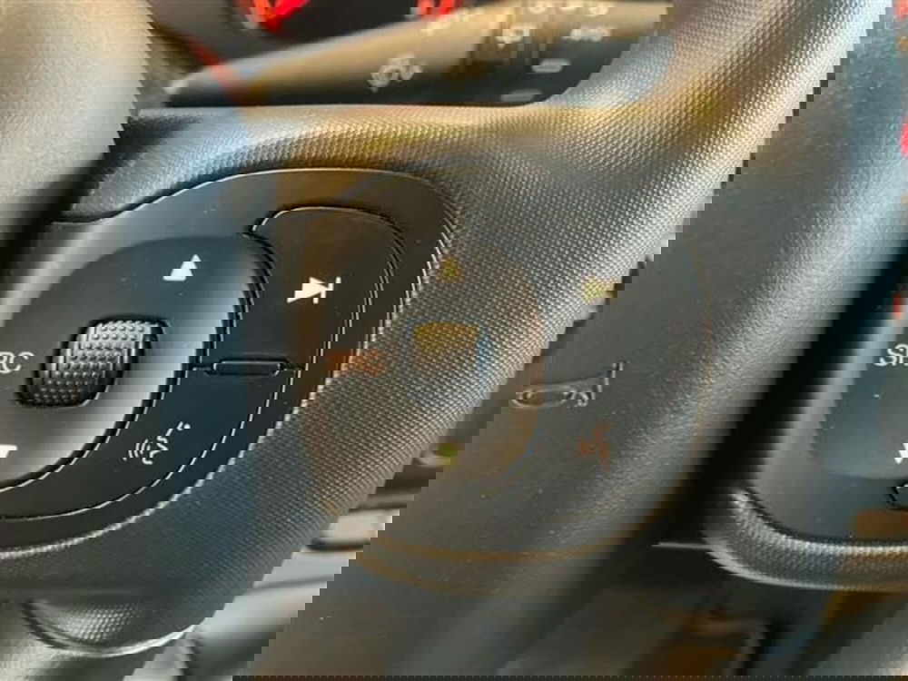 Fiat Panda Cross usata a Como (18)