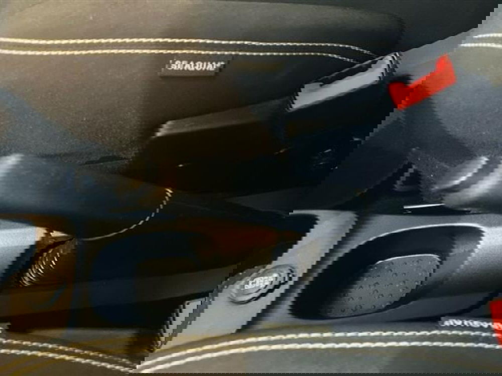 Fiat Panda Cross usata a Como (19)