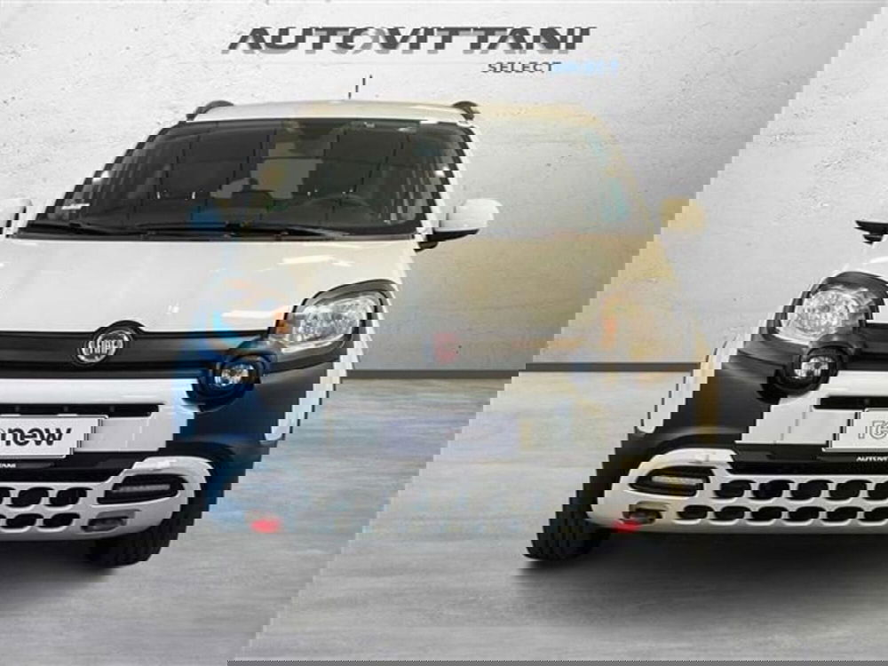 Fiat Panda Cross usata a Como (2)