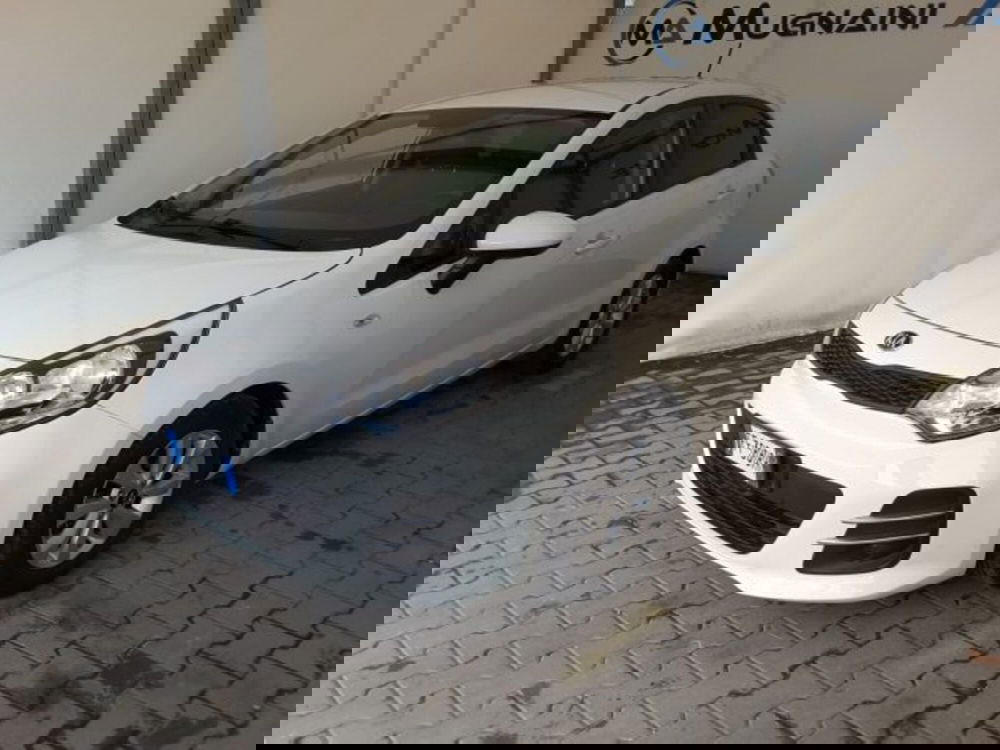 Kia Rio usata a Firenze (3)