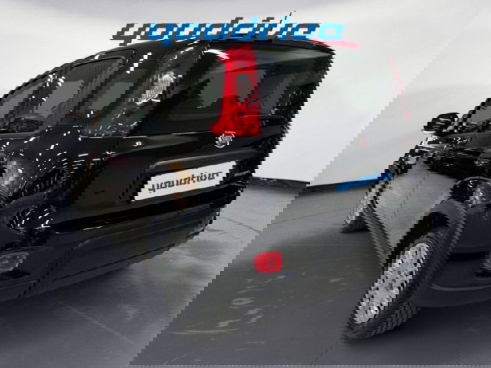 Fiat Panda usata a Napoli (2)