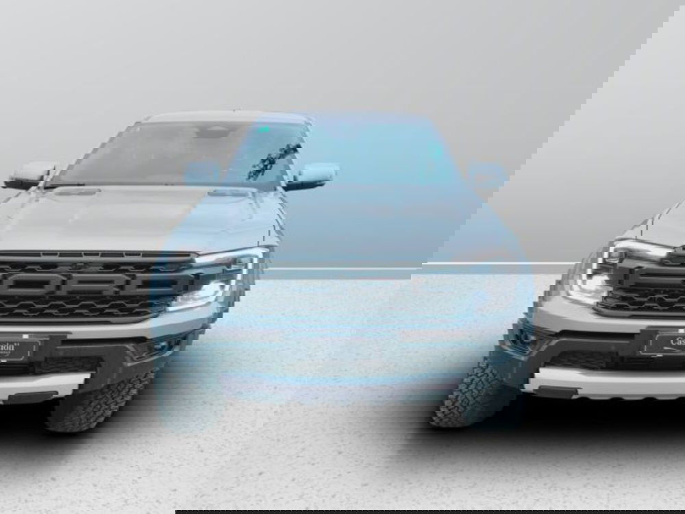 Ford Ranger Pick-up usata a Teramo (2)