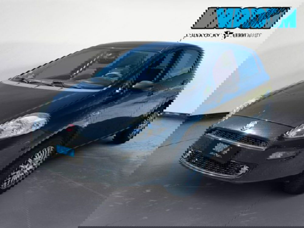 Fiat Punto usata a Treviso