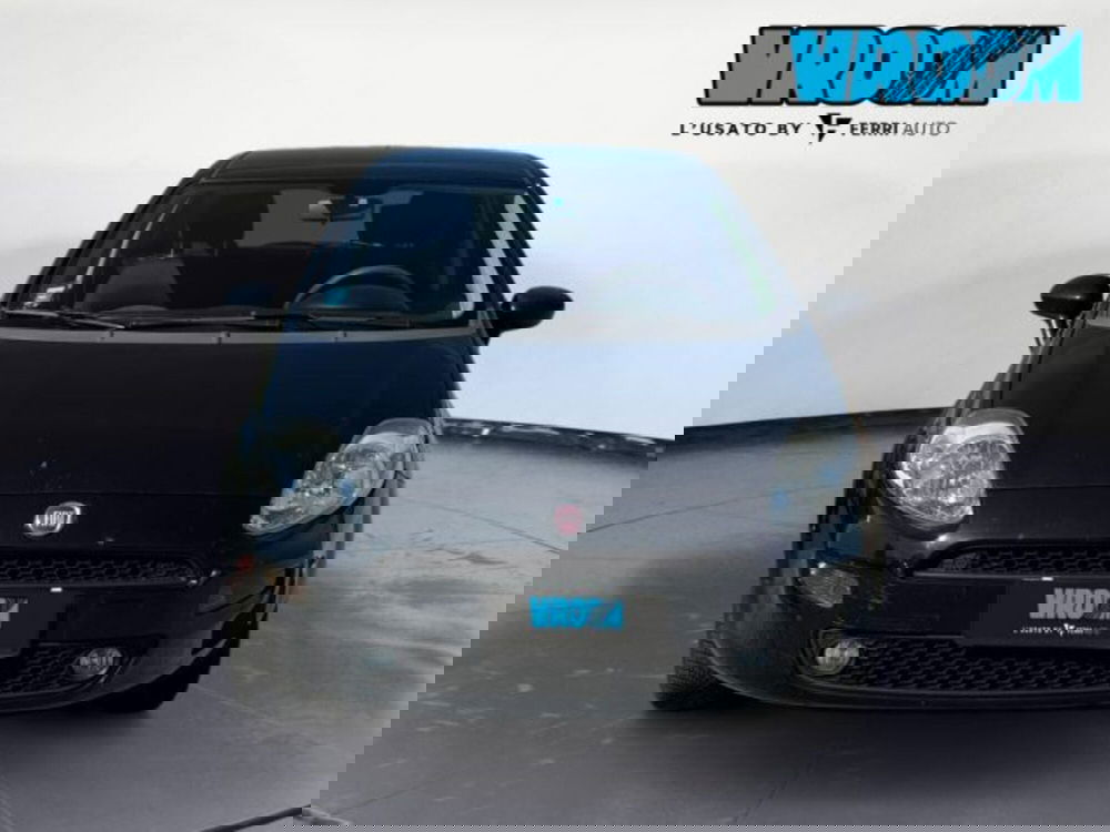 Fiat Punto usata a Treviso (2)