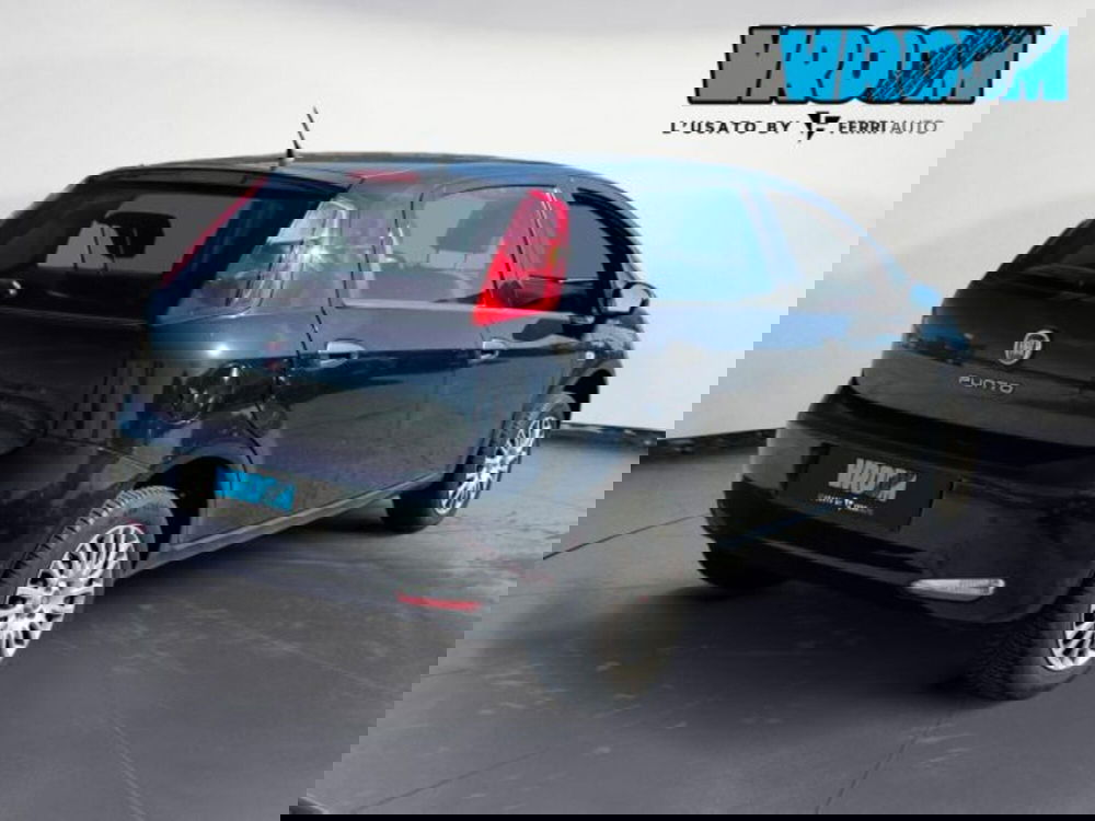 Fiat Punto usata a Treviso (4)