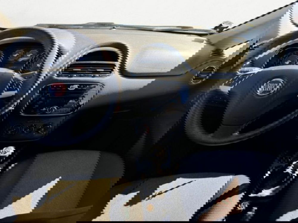 Fiat Punto usata a Treviso (9)