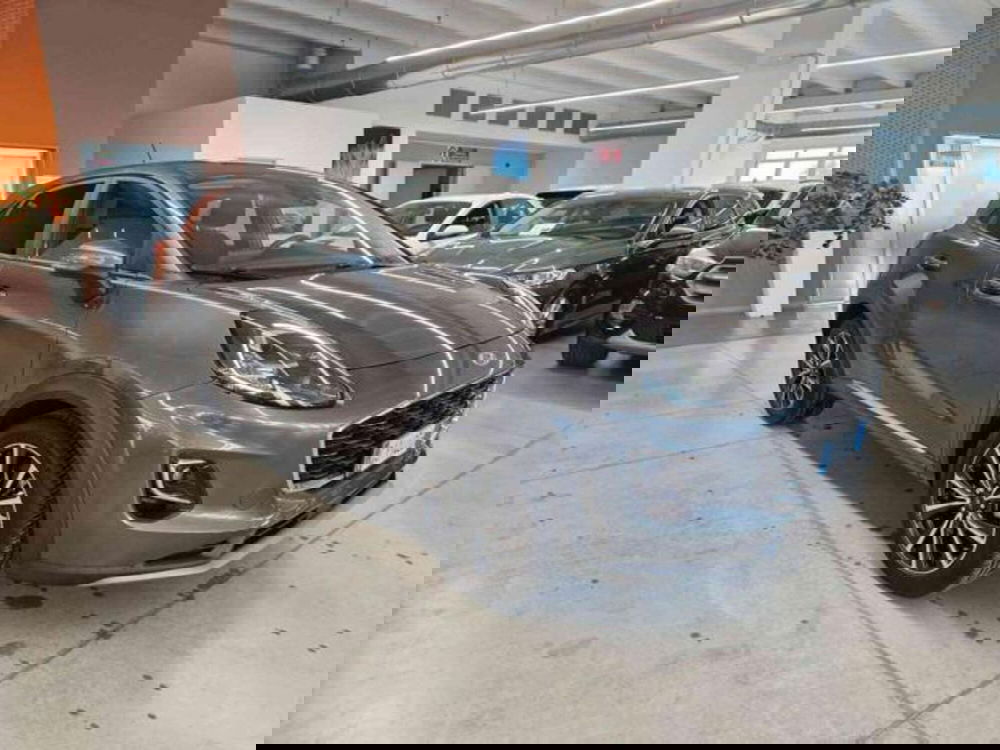 Ford Puma usata a Bologna (3)