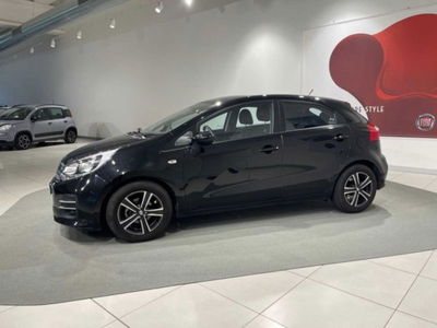 Kia Rio 1.2 CVVT 5p. Cool del 2015 usata a Montagna in Valtellina