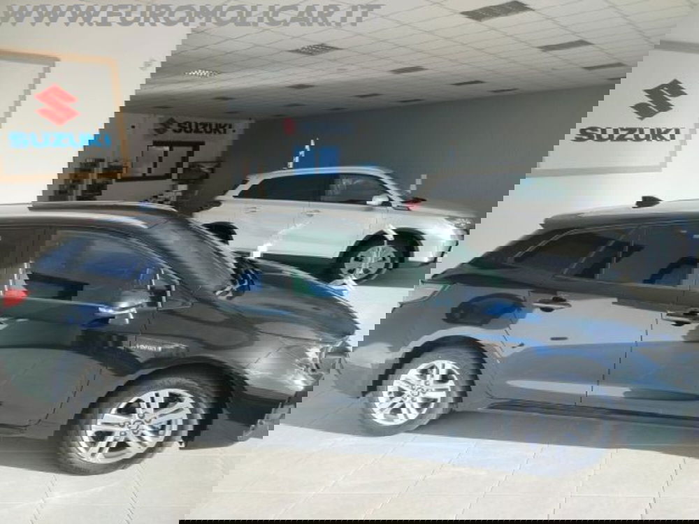 Suzuki Swace nuova a Campobasso