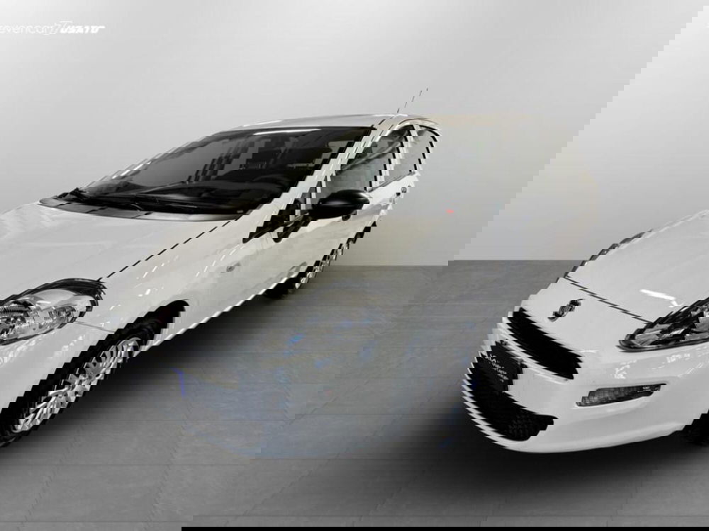 Fiat Punto usata a Verona