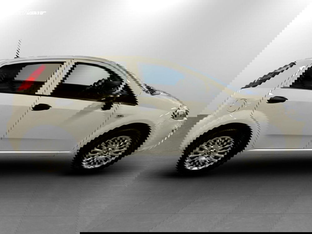 Fiat Punto usata a Verona (4)