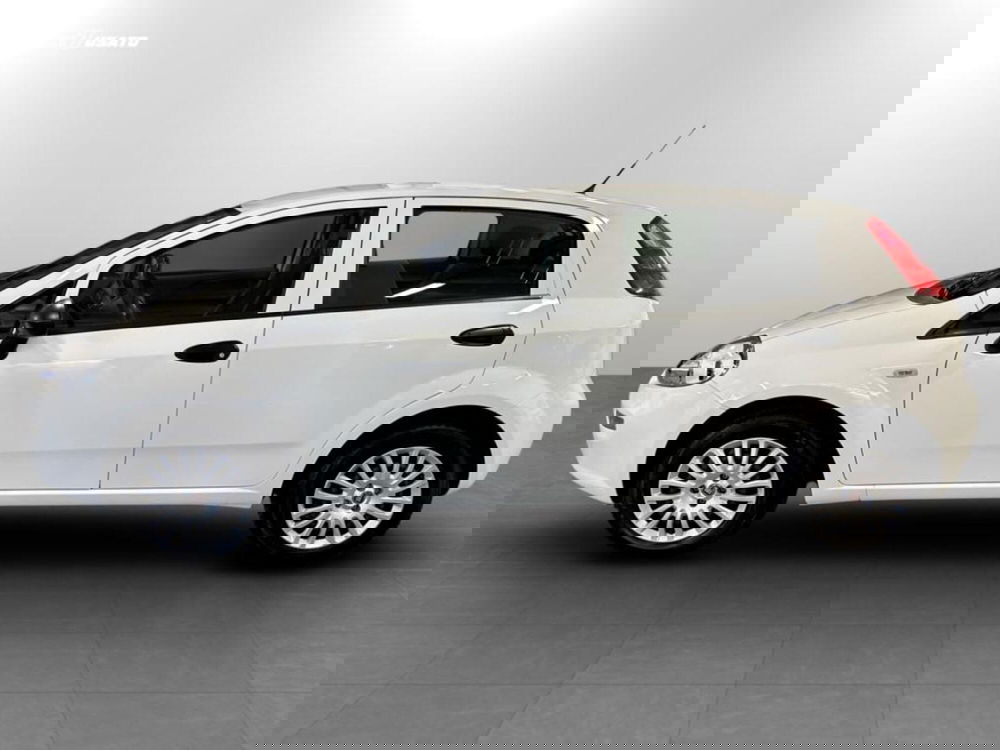 Fiat Punto usata a Verona (8)