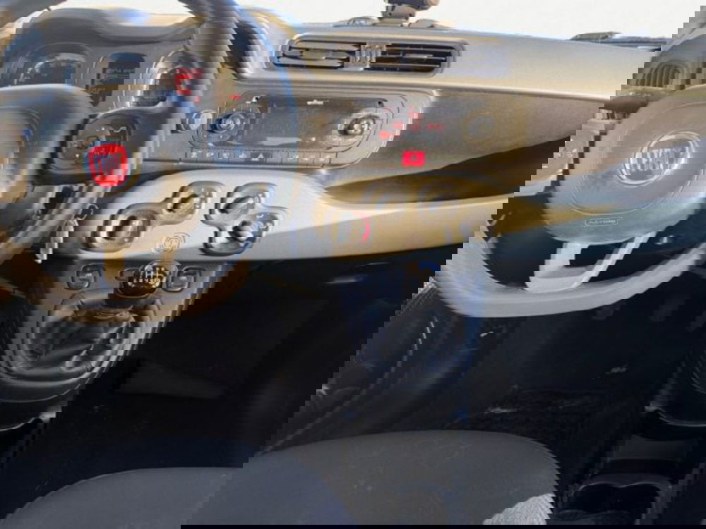 Fiat Panda usata a Treviso (10)