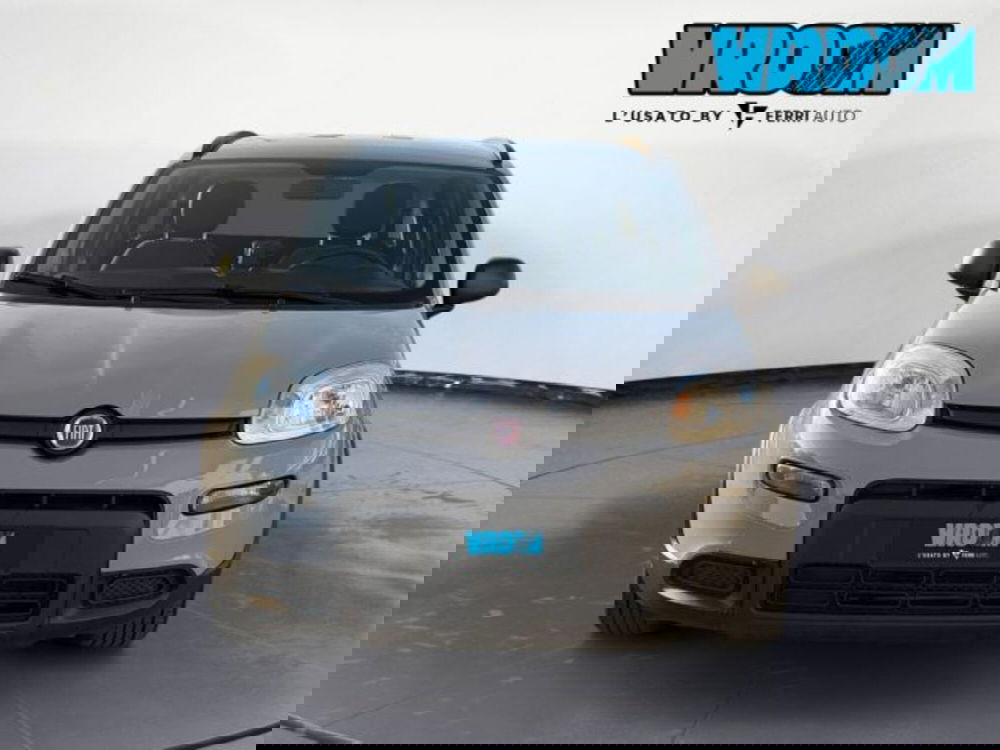 Fiat Panda usata a Treviso (2)